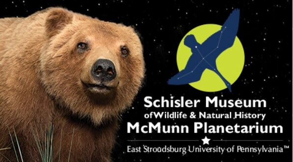A bear and the logo for Schisler Museum in Monroe County.